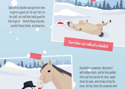 Melbourneseoservices.com Infographics Horse Christmas Bonding